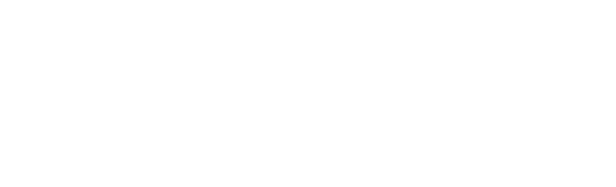 OBSERV — The Motion